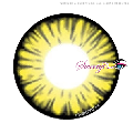 Sweety Firefly Yellow