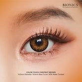 Color Touch Chestnut Brown (monthly)