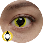 Sweety Crazy Yellow Dragon II