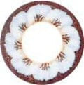 EOS Big Flower Gray Color Contact Lens- Candylens