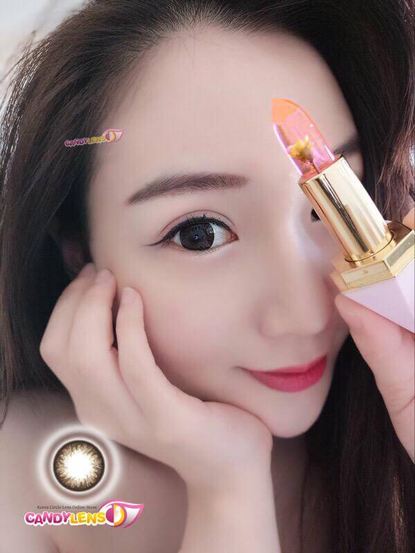 Geo Medical Geo HoliCat Lovely Cat Choco