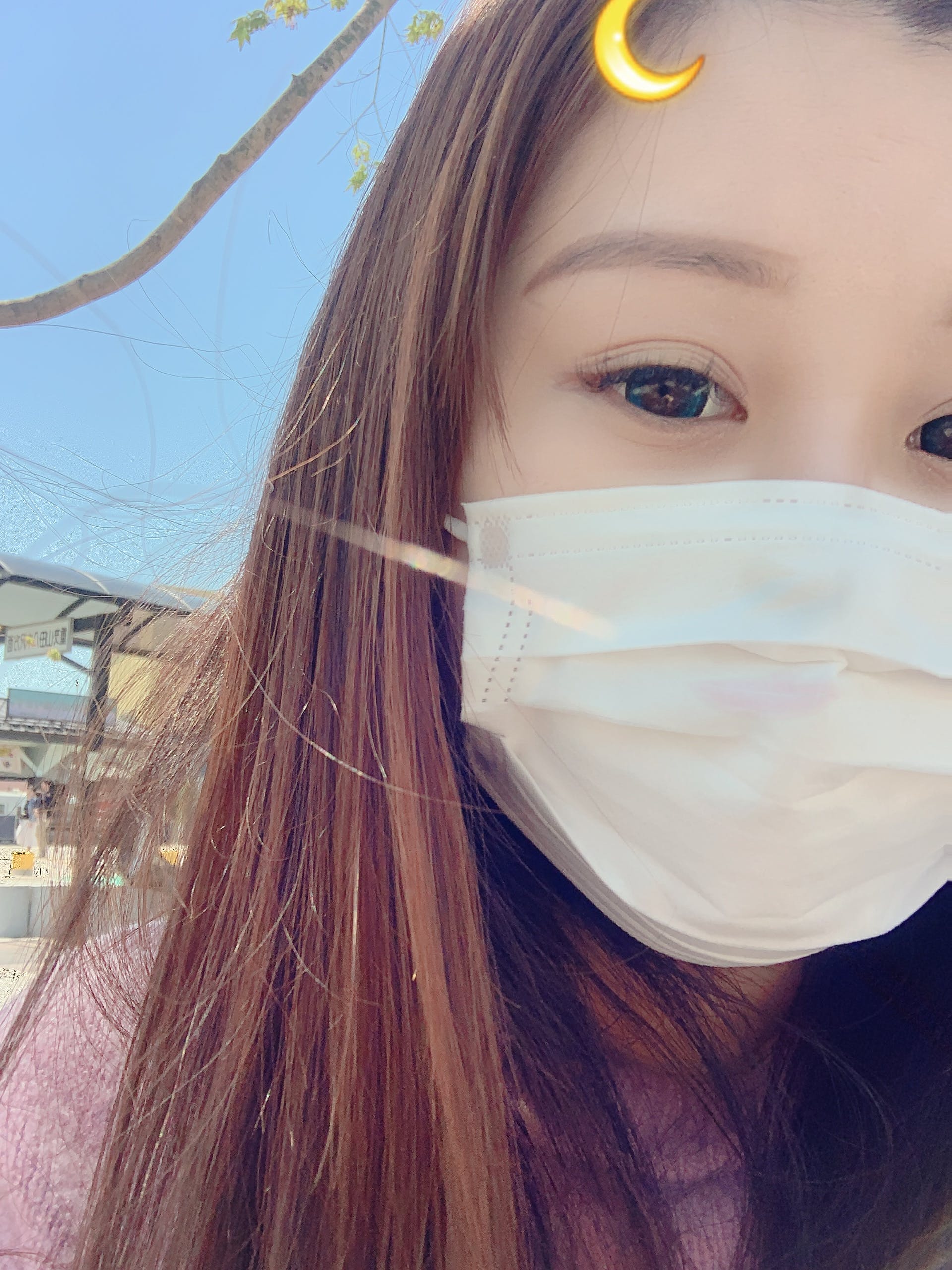 Vassen Vassen Dolly Plus Green