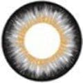 Vassen Shinny Gray Color Contact Lens